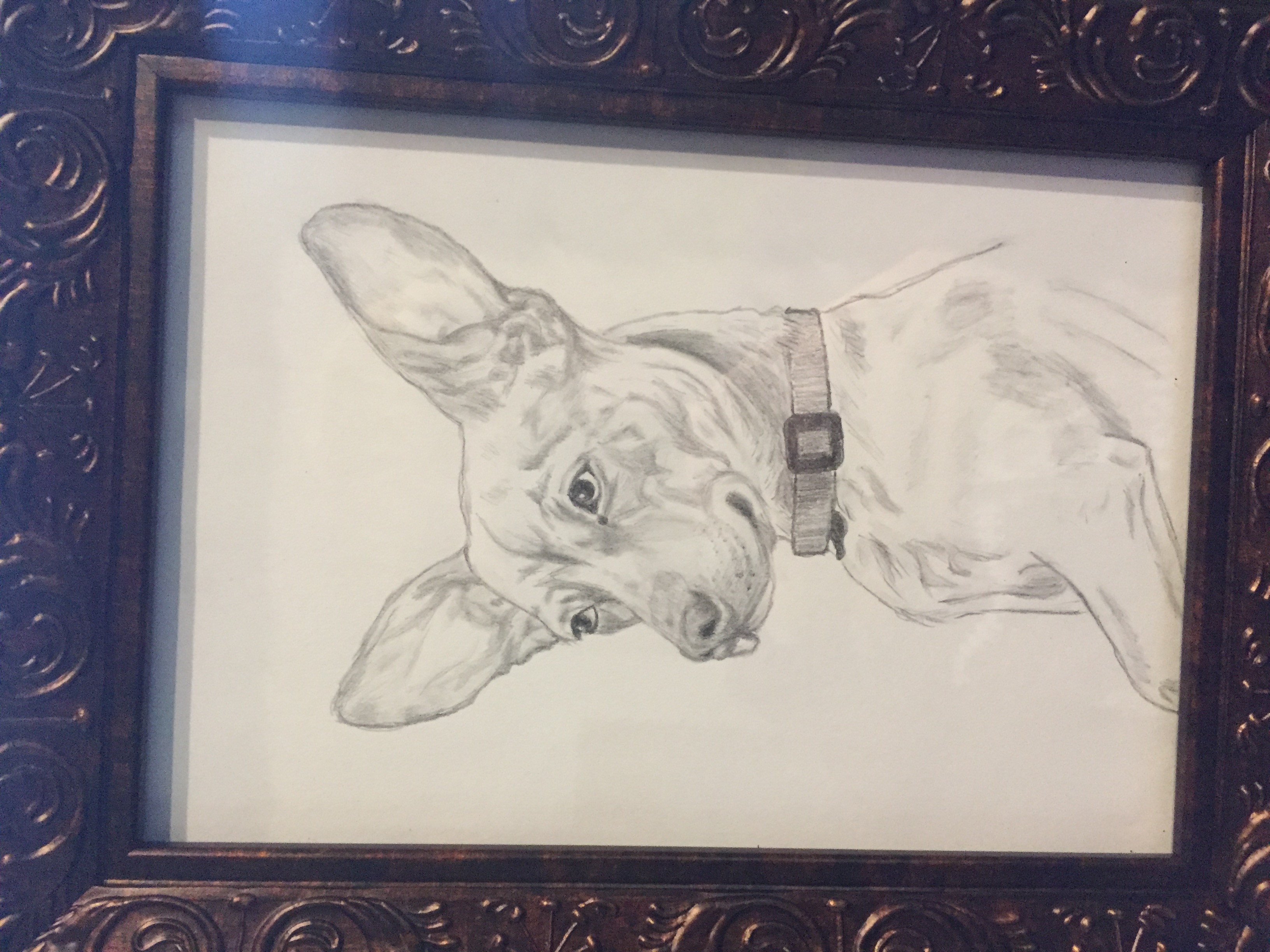 Framed pencil drawing of a chaweenie
