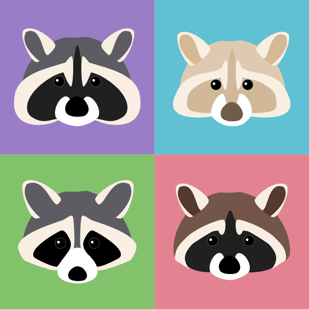 Vector image of a 4 varations of a raccoon face
